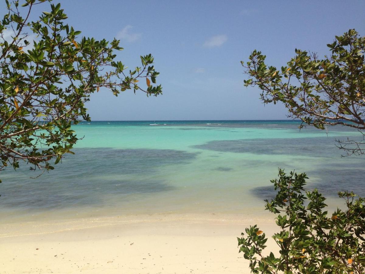 Bungalow La Papaye Bleue Residence Acces Piscine & Plage Saint-Francois  Buitenkant foto
