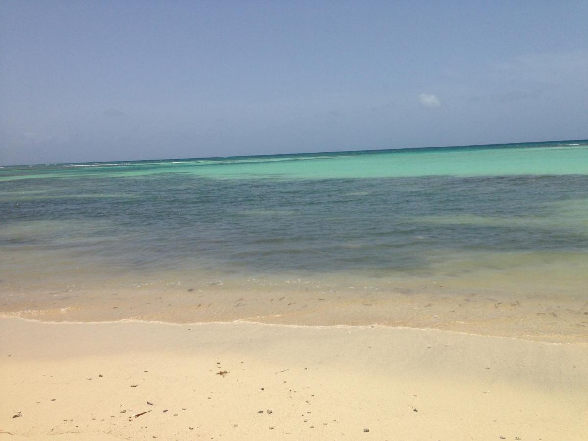 Bungalow La Papaye Bleue Residence Acces Piscine & Plage Saint-Francois  Buitenkant foto