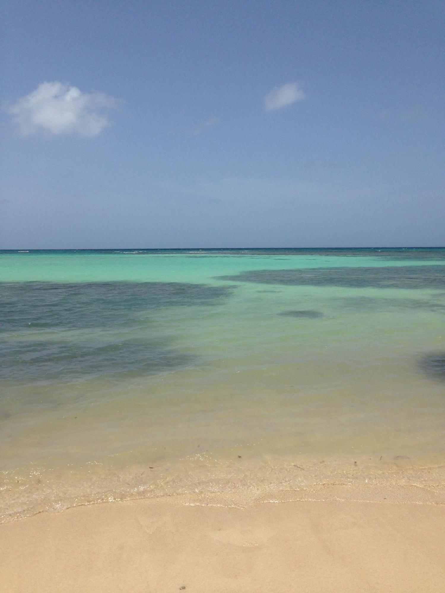 Bungalow La Papaye Bleue Residence Acces Piscine & Plage Saint-Francois  Buitenkant foto